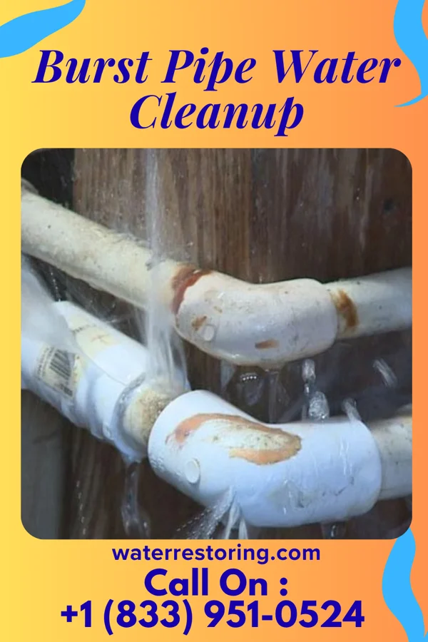Burst Pipe Water Cleanup in Juniata Gap, PA