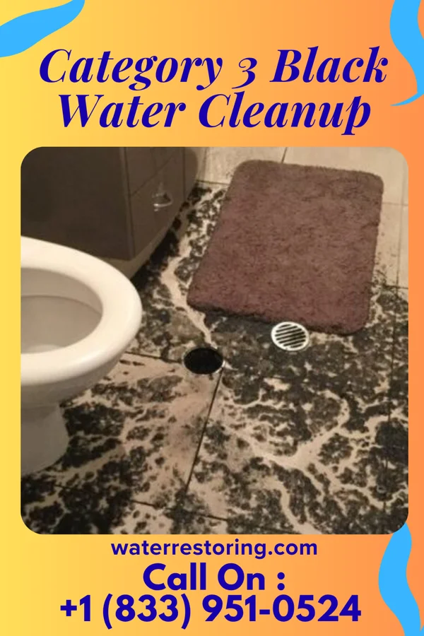Category 3 Black Water Cleanup in Juniata Gap, PA