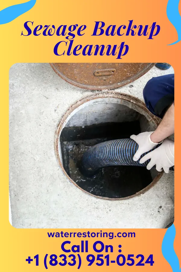 Sewage Backup Cleanup in Juniata Gap, PA