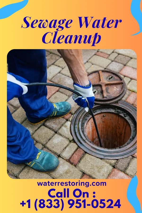 Sewage Water Cleanup in Juniata Gap, PA