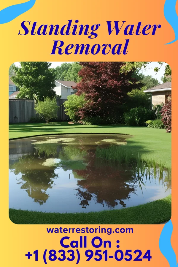 Standing Water Removal in Juniata Gap, PA